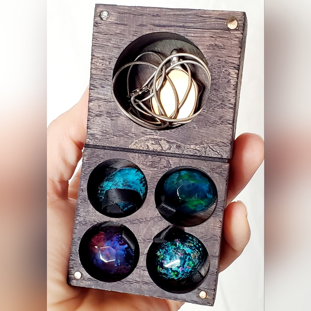 Secret Wood Turtle Jewely Set + 4 Shells